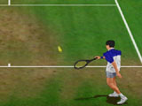 Court de Tennis - Gazon (Herbe)
